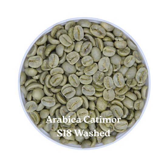 ARABICA CATIMOR S18