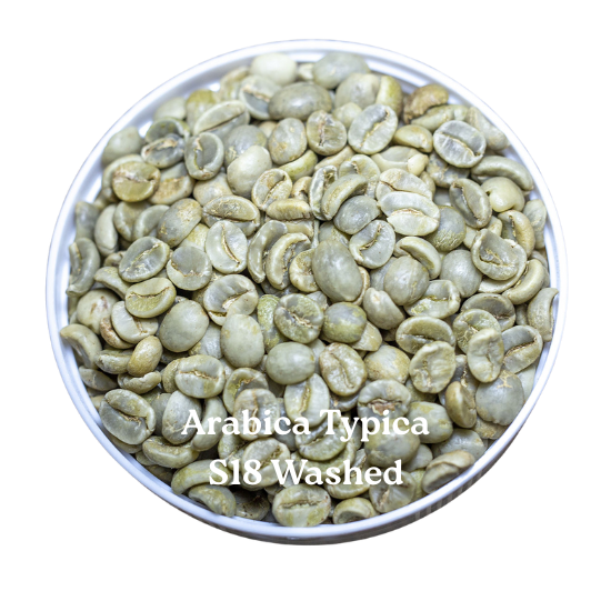 ARABICA TYPICA S18