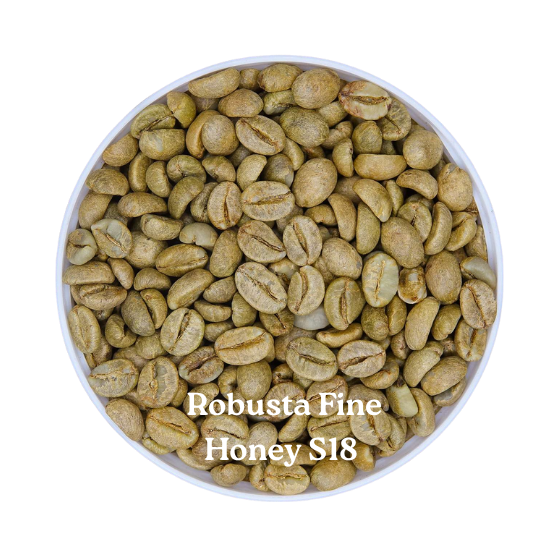 ROBUSTA FINE HONEY S18 – Wyjątkowa kawa z Dak Lak | 96 Coffee
