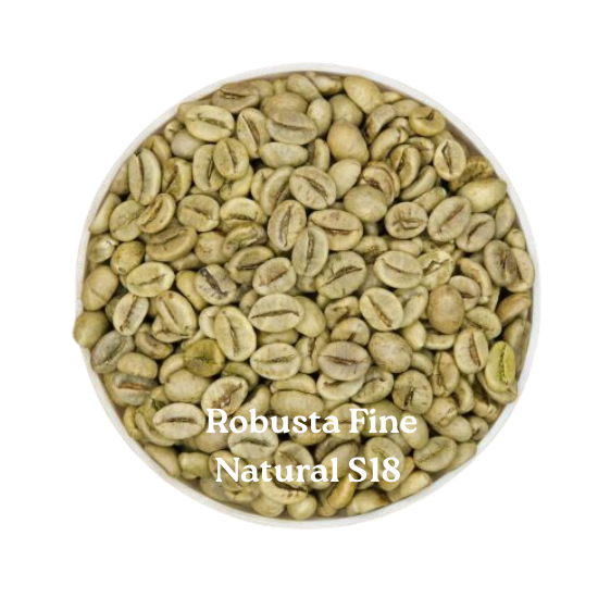 ROBUSTA FINE NATURAL S18 – Wyjątkowa kawa z Dak Lak | 96 Coffee
