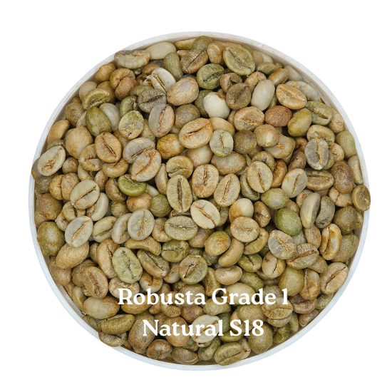 ROBUSTA NATURAL GRADE 1 S18