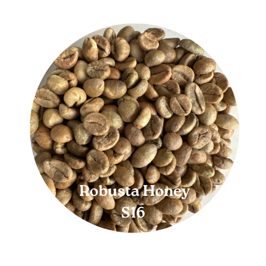 ROBUSTA HONEY S16